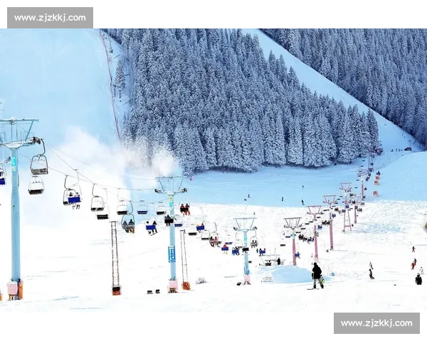 滑雪排名风云再起全球顶尖雪场高手竞技实力全景观察